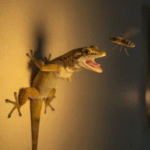 A ciência explica o que realmente significa quando lagartixas começam a aparecer com frequência na sua casa; VEJA