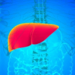 O que consumir no café da manhã para proteger o Fígado, segundo nutricionista; DESCUBRA: