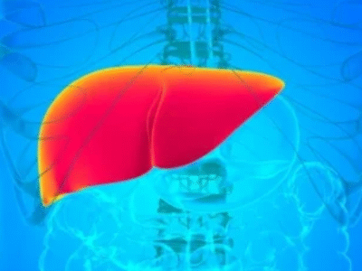 O que consumir no café da manhã para proteger o Fígado, segundo nutricionista; DESCUBRA: