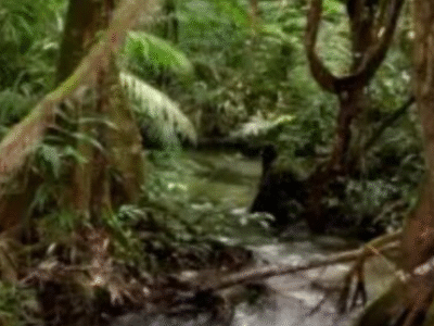 Tropas do Exército brasileiro são atacadas por traficantes na fronteira entre Brasil e Colômbia; SAIBA MAIS