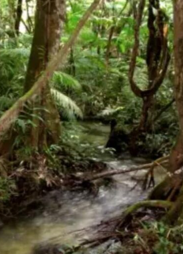 No momento, você está visualizando Tropas do Exército brasileiro são atacadas por traficantes na fronteira entre Brasil e Colômbia; SAIBA MAIS