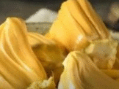 Jaca brasileira vira “ouro tropical” em Londres e pode ultrapassar R$ 1 mil no exterior