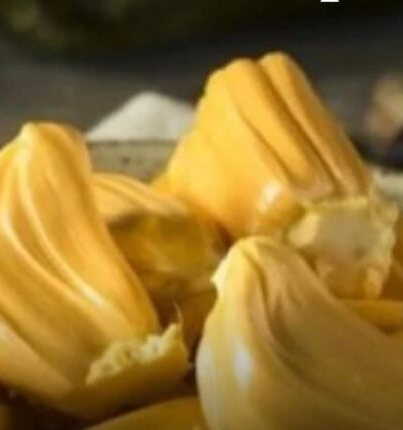 No momento, você está visualizando Jaca brasileira vira “ouro tropical” em Londres e pode ultrapassar R$ 1 mil no exterior