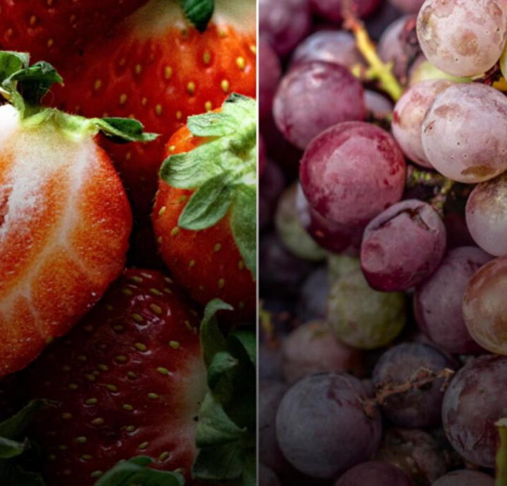 No momento, você está visualizando Estudo alerta para ranking de alimentos com mais resíduos de pesticidas em 2026; VEJA QUAIS SÃO