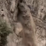 Viraliza imagens de renascimento de riacho no Deserto da Judeia, próximo ao Mar M0rt0; VEJA VÍDEO