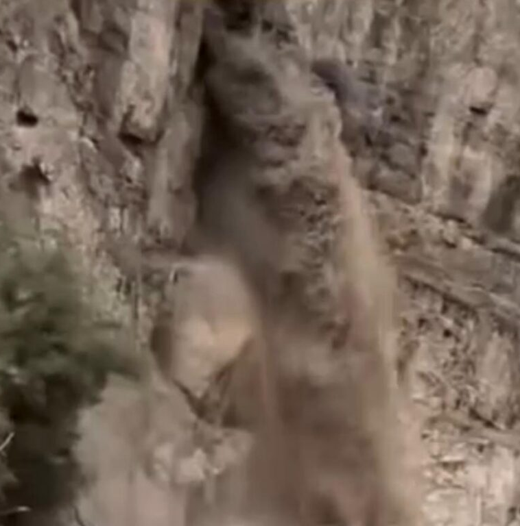 No momento, você está visualizando Viraliza imagens de renascimento de riacho no Deserto da Judeia, próximo ao Mar M0rt0; VEJA VÍDEO