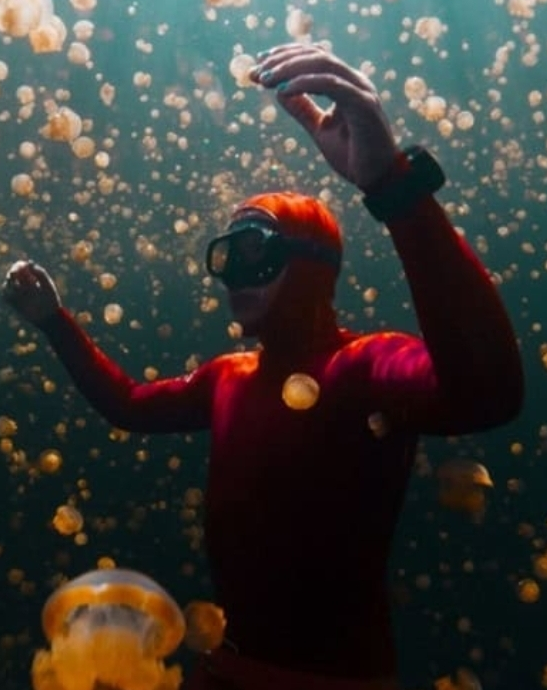 No momento, você está visualizando Conheça Raja Ampat, o santuário marinho mais biodiverso do planeta