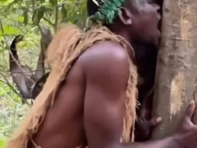 IMPRESSIONANTE: nativo da Tanzânia extrai remédio de árvore com os dentes; VEJA VÍDEO