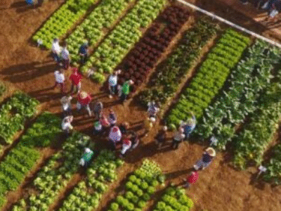 O segredo da cidade brasileira de 10 mil habitantes que alimenta o Brasil por 12 dias no ano