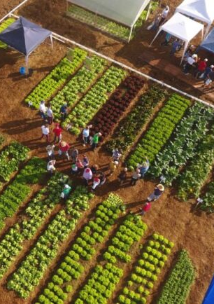 No momento, você está visualizando O segredo da cidade brasileira de 10 mil habitantes que alimenta o Brasil por 12 dias no ano