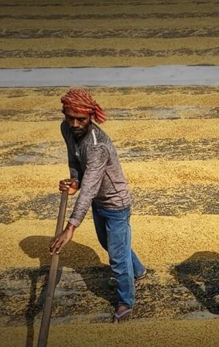No momento, você está visualizando Produção farta, exportações bombando e mesa vazia: o brasileiro paga mais caro pelo alimento que sai daqui