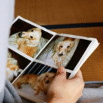 A perda de um animal de estimação pode desencadear uma dor tão intensa quanto a perda de um ente querido. É o que mostra pesquisa do Reino Unido que entrevistou centenas de adultos. Alerta para fadiga, dores de cabeça e tonturas