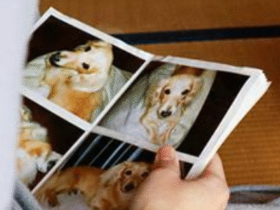 A perda de um animal de estimação pode desencadear uma dor tão intensa quanto a perda de um ente querido. É o que mostra pesquisa do Reino Unido que entrevistou centenas de adultos. Alerta para fadiga, dores de cabeça e tonturas
