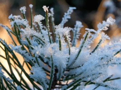 Uma Massa de ar frio intensa tem data para atingir metade do Brasil despencando temperaturas abaixo dos 10°C; SAIBA ONDE