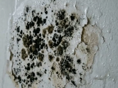 Como eliminar mofo da parede do quarto e deixá-la com aparência de nova