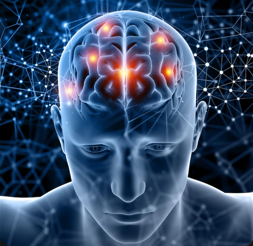 No momento, você está visualizando Você sabia que equilíbrio mental não é sorte, mas sim uma habilidade treinável? Conheça a Teoria da Interface Executiva e a Positividade Tóxica. Especialista em Neurociência explica nova abordagem e benefícios. APRENDA!