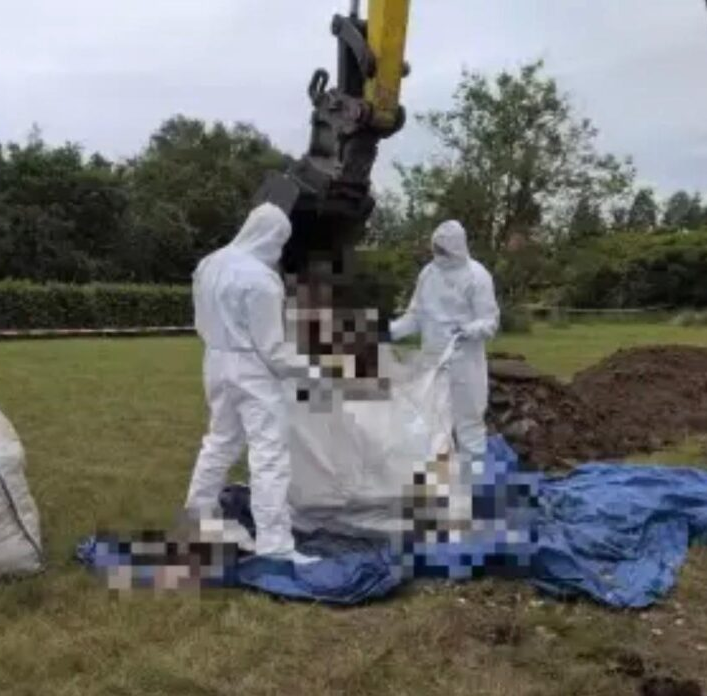 No momento, você está visualizando Mulher é pr3sa após serem encontrados mais de 30 fetos enterrados em seu jardim; VEJA