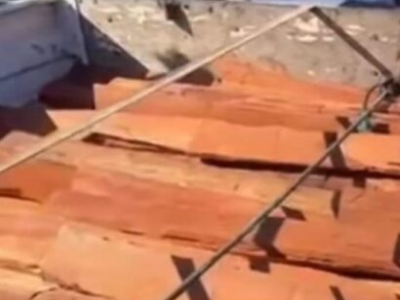 Receita revela esquema de cocaína escondida em carga de madeira apreendida; volume pode ser recorde no Brasil; VEJA VÍDEO