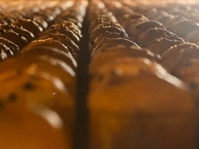 A empresa brasileira Bauducco inaugura fábrica de US$ 200 milhões nos Estados Unidos