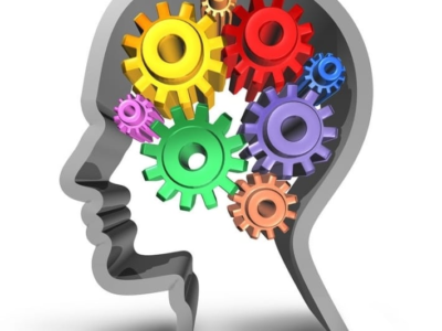 O que é reserva cognitiva? Harvard cria programa dinâmico de 7 etapas para ajudar você a alcançar uma vida inteira de excelente capacidade cognitiva! Entenda aqui
