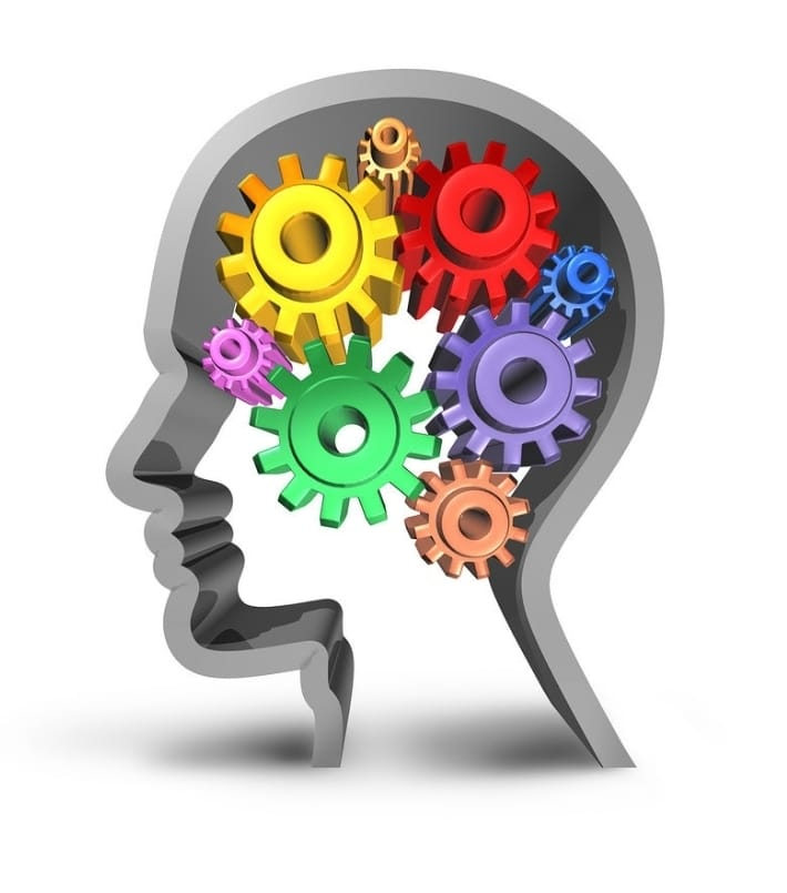 No momento, você está visualizando O que é reserva cognitiva? Harvard cria programa dinâmico de 7 etapas para ajudar você a alcançar uma vida inteira de excelente capacidade cognitiva! Entenda aqui