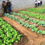 Parceria: Condomínio Vida Longa recebe projeto do Senac que promove encontro entre gerações e fortalece convivência. Confira