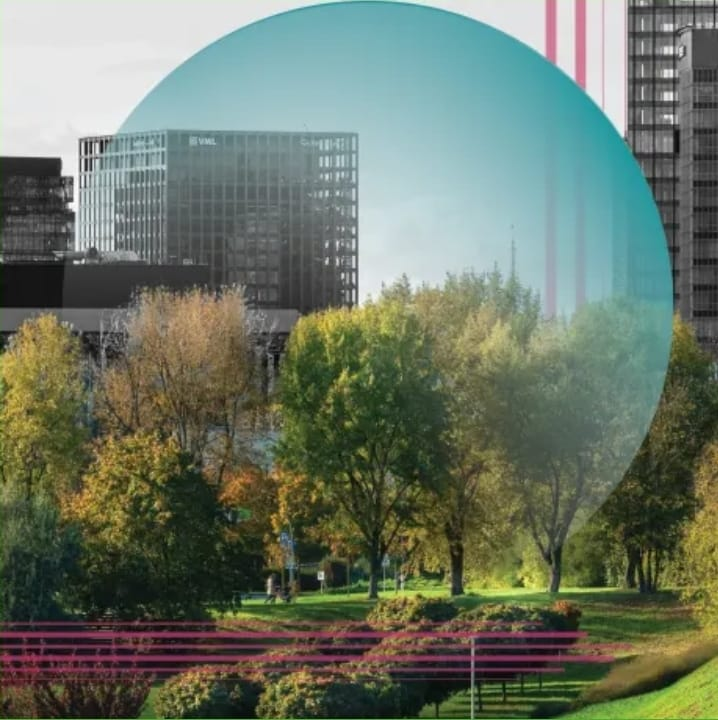 No momento, você está visualizando Precisa de inspiração? Faça uma caminhada em um parque. Escola de negócios de Harvard descobre que exposição a novas pessoas e ambientes verdes ajuda no desenvolvimento de ideias