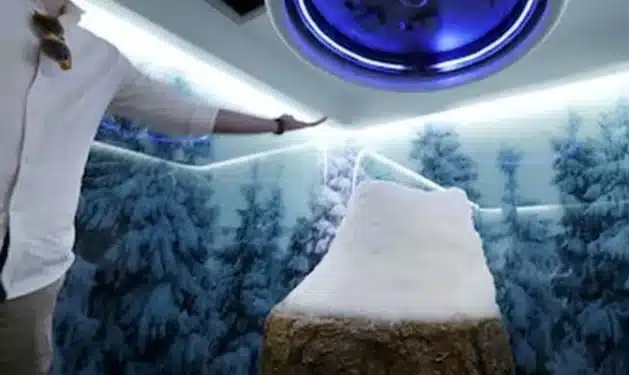 No momento, você está visualizando Quarto de neve: o luxo milionário que custa até R$ 1,5 milhão para escapar do calor