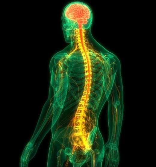 No momento, você está visualizando Homem volta a escrever após seis anos com ajuda de implante