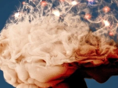 Uma célula do cérebro pode ajudar a evitar danos do Alzheimer