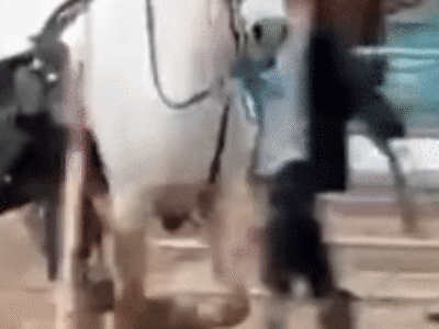 INUSITADO: Menina de 12 anos controla cavalo desgovernado durante prova no RS, VEJA VÍDEO