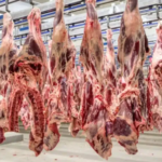 URGENTE: União Europeia suspende importação de carnes, ovos e mel do Brasil