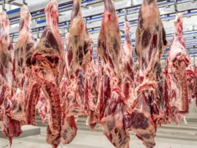 URGENTE: União Europeia suspende importação de carnes, ovos e mel do Brasil