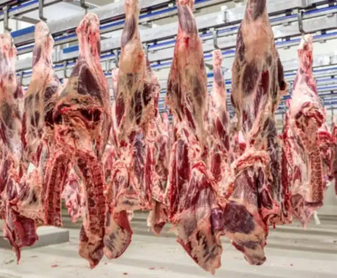 No momento, você está visualizando URGENTE: União Europeia suspende importação de carnes, ovos e mel do Brasil