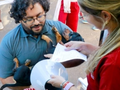 Causa Animal: Marília vai abrir neste sábado, dia 12, 150 vagas para a castração de cães da raça pitbull. Independente do sexo, cadastro é gratuito. Faça por aqui