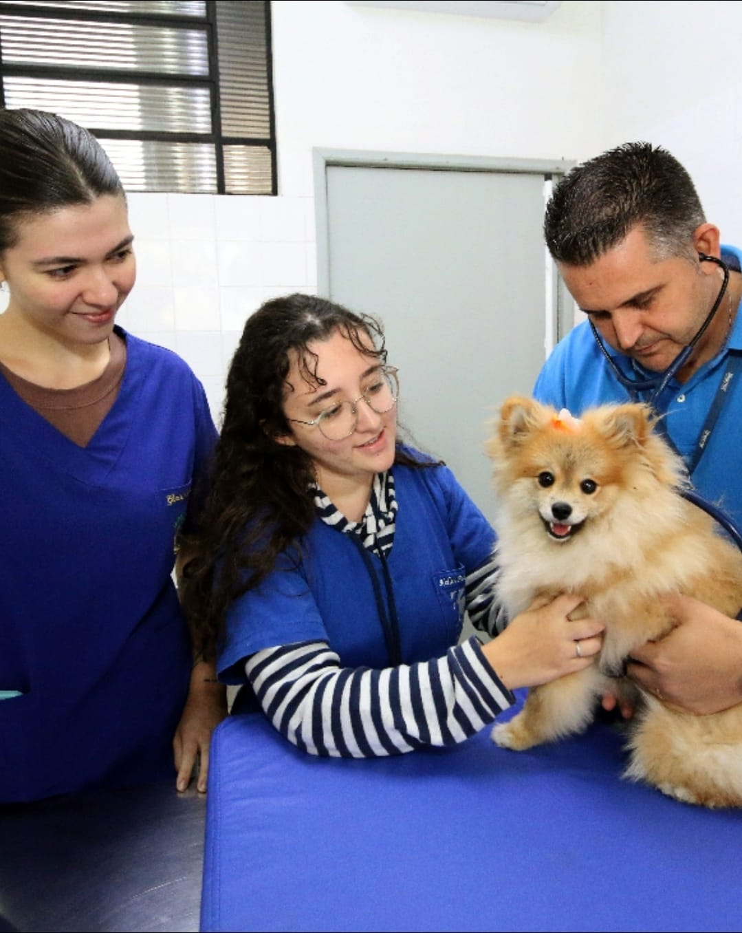 No momento, você está visualizando Dia do Médico Veterinário destaca importância da profissão e os 40 anos do curso da Unimar, que já formou milhares de doutores de todas as regiões do Brasil. Confira!