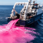 Cientistas despejam milhares de litros de soda cáustica no oceano em teste inédito contra a acidez dos oceanos