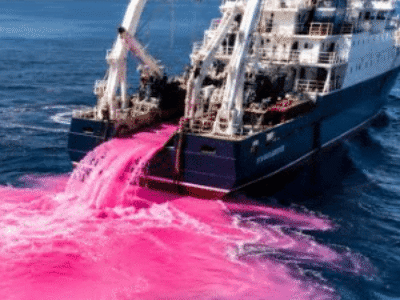 Cientistas despejam milhares de litros de soda cáustica no oceano em teste inédito contra a acidez dos oceanos