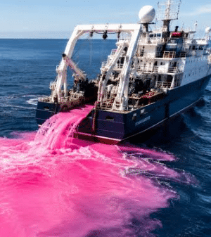 No momento, você está visualizando Cientistas despejam milhares de litros de soda cáustica no oceano em teste inédito contra a acidez dos oceanos