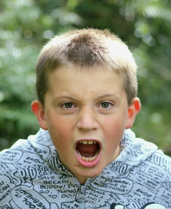 No momento, você está visualizando Seu filho ou neto é difícil ou apenas diferente? O que a ciência revela sobre o temperamento infantil. Nem toda criança que dá mais trabalho tem um problema. Entenda
