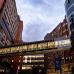 Hospital Albert Einstein é alvo de ataque hacker e dados de pacientes são acessados