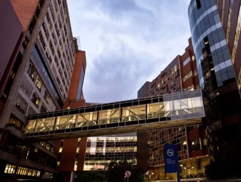 No momento, você está visualizando Hospital Albert Einstein é alvo de ataque hacker e dados de pacientes são acessados