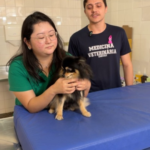 Medicina Veterinária da Unimar promove campanhas de prevenção e conscientização sobre a saúde de cães e gatos. Reforço à importância da extensão universitária na formação profissional