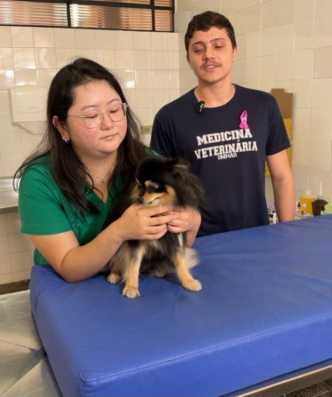 No momento, você está visualizando Medicina Veterinária da Unimar promove campanhas de prevenção e conscientização sobre a saúde de cães e gatos. Reforço à importância da extensão universitária na formação profissional