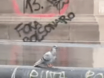 IMAGENS IMPRESSIONANTES: Vândalos picham monumentos históricos em Paris e Barcelona com “Lula 13” e “Fora Bolsonaro”; VEJA VÍDEO