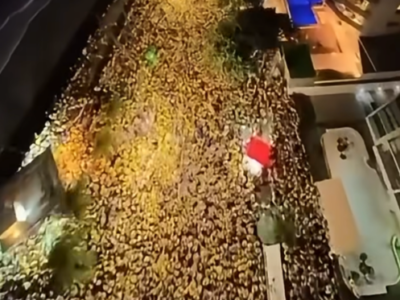 IMPRESSIONANTE: Novas imagens aéreas da manifestação pró-Flávio Bolsonaro em Recife são divulgadas; VEJA IMAGENS